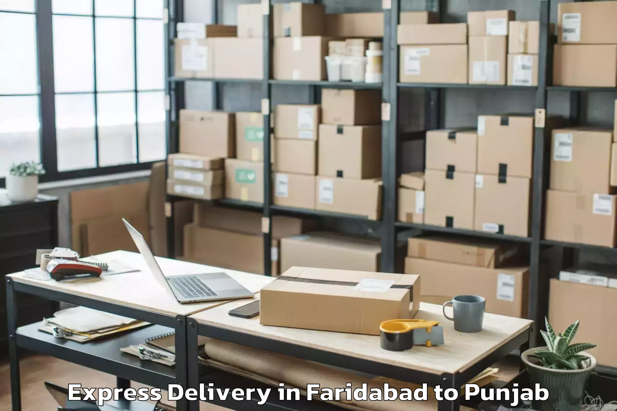 Faridabad to Punjab Agricultural University Express Delivery